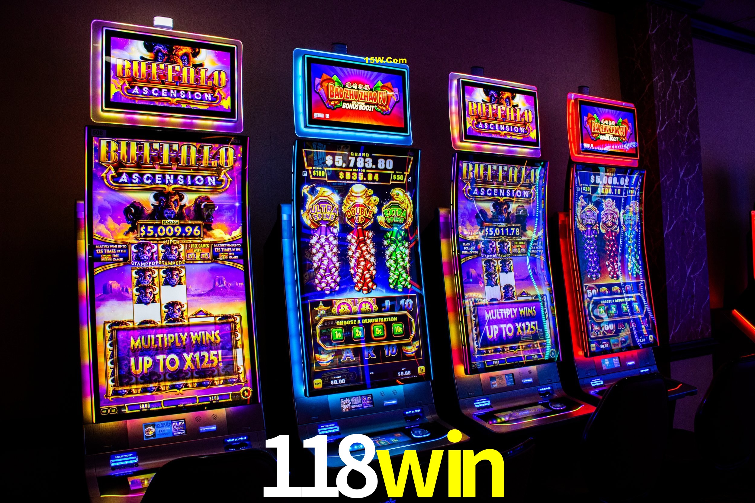 Experiência VIP 118win